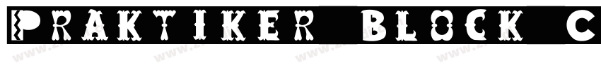 Praktiker Block Cn字体转换